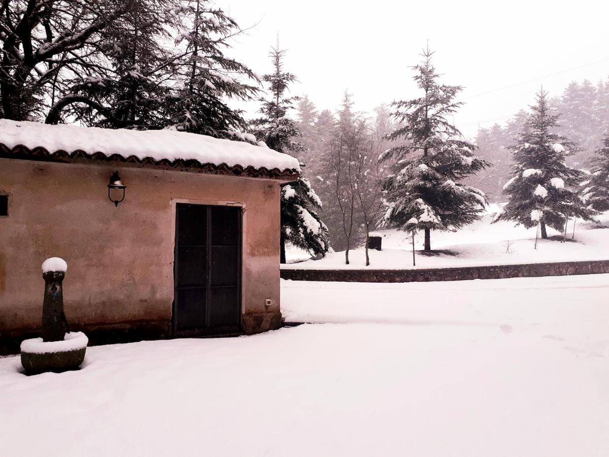 Casa Alegria Bed & Breakfast Morano Calabro Exterior foto