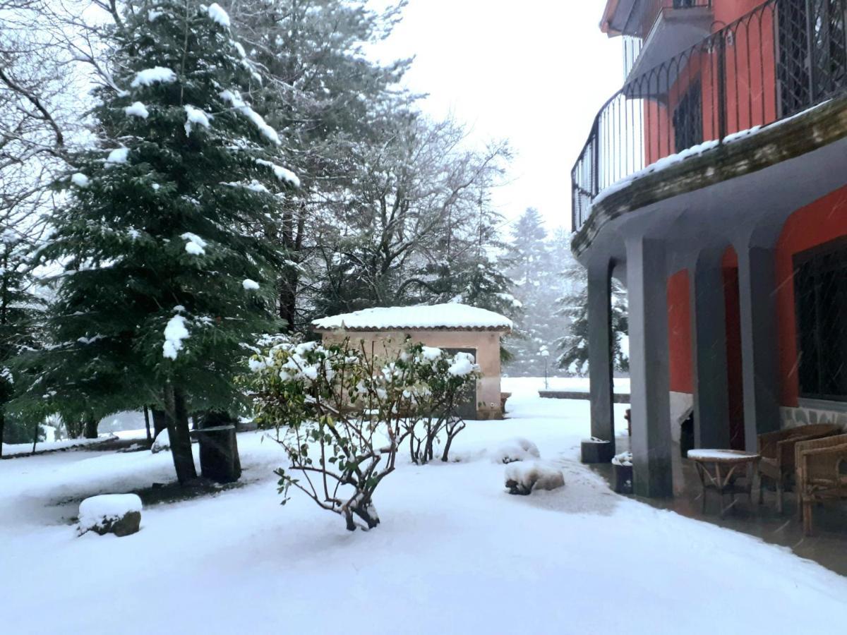 Casa Alegria Bed & Breakfast Morano Calabro Exterior foto